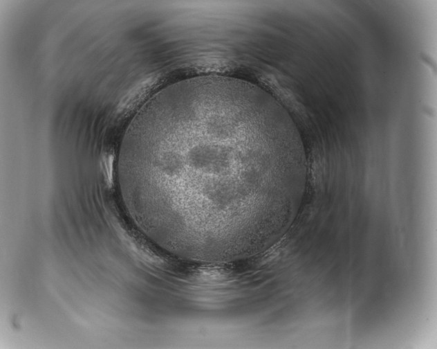 X0000101160070200807071208