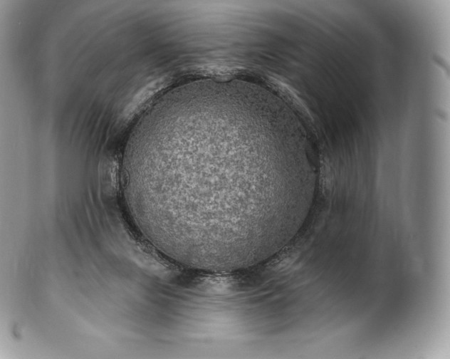 X0000101160071200807071208