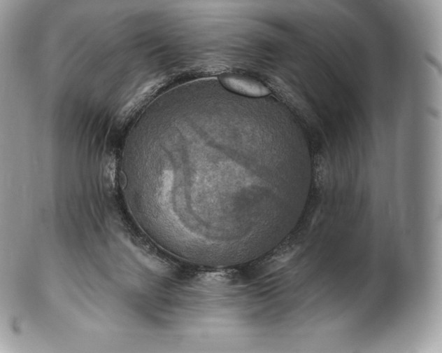 X0000101160072200807071208