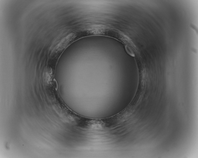 X0000101160073200807071208