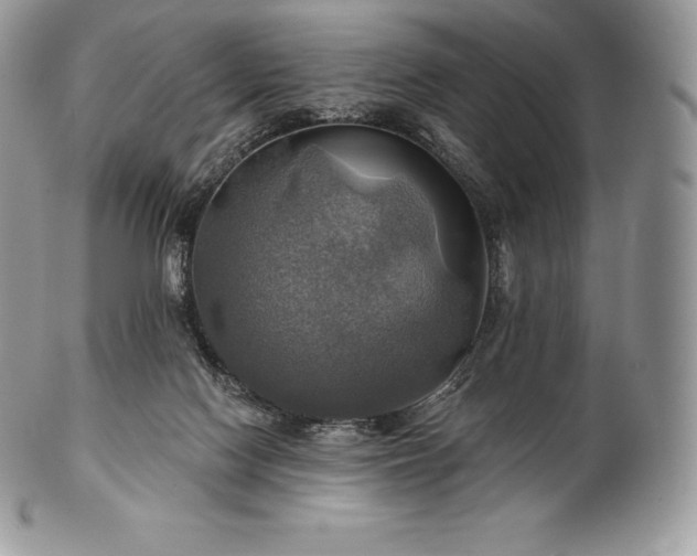 X0000101160074200807071208