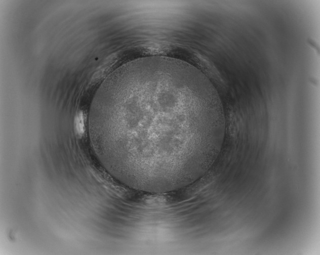 X0000101160075200807071208