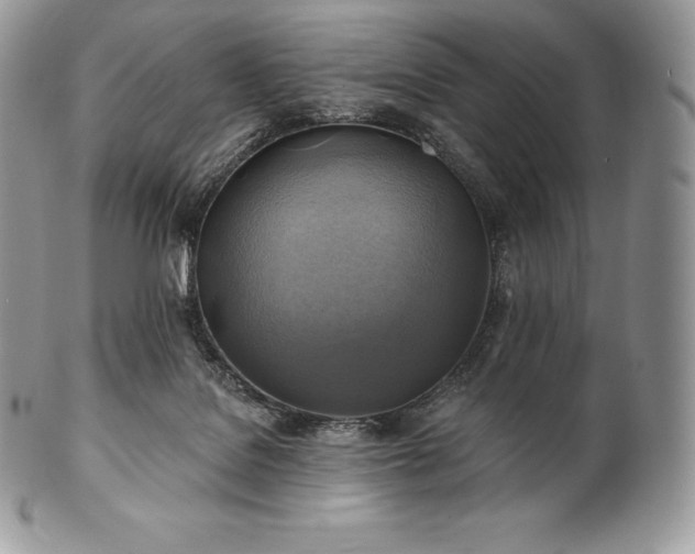 X0000101160076200807071208