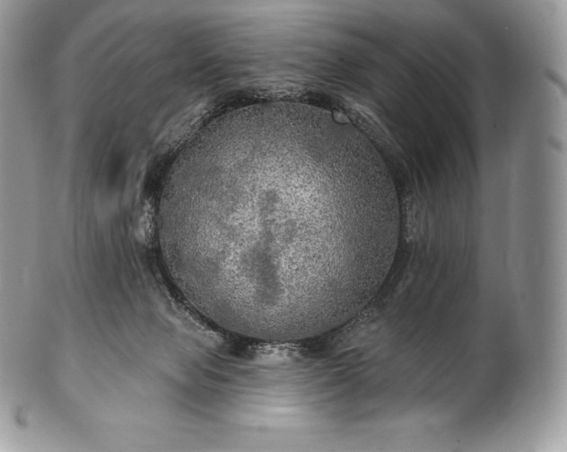 X0000101160077200807071208