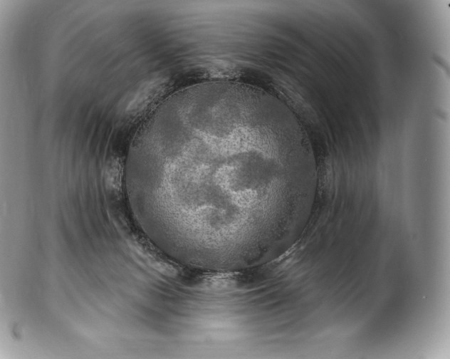 X0000101160078200807071208