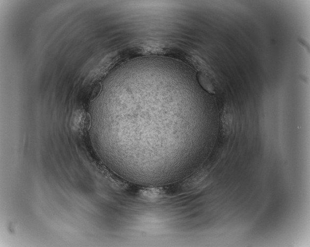 X0000101160079200807071208