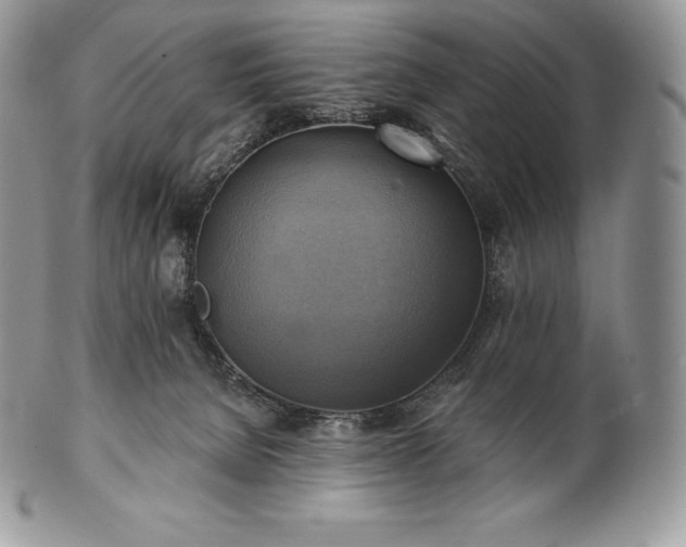 X0000101160080200807071208