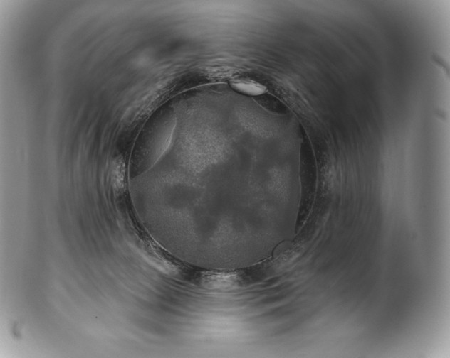 X0000101160081200807071208