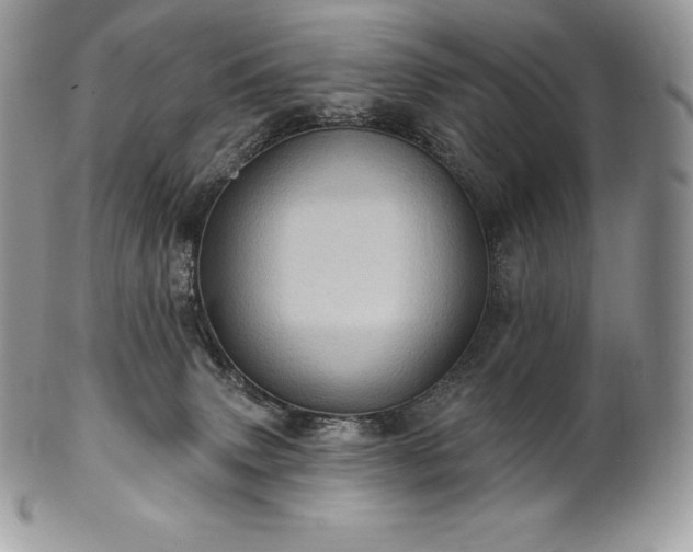 X0000101160083200807071208