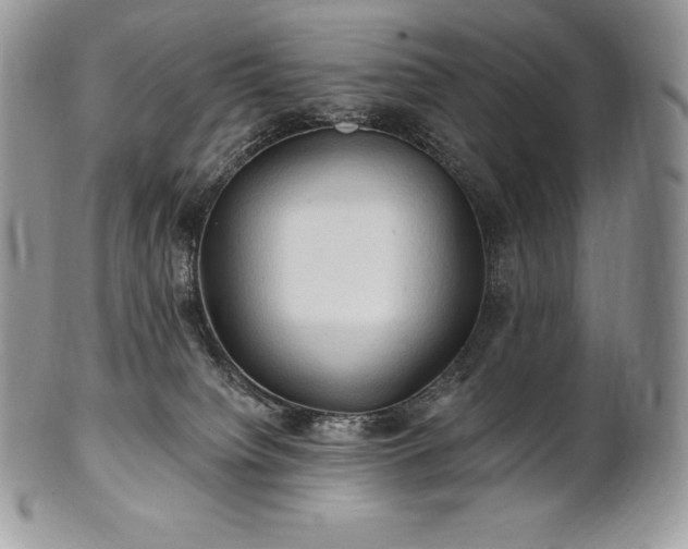 X0000101160084200807071208