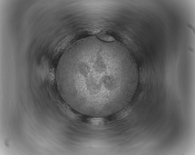 X0000101160085200807071208