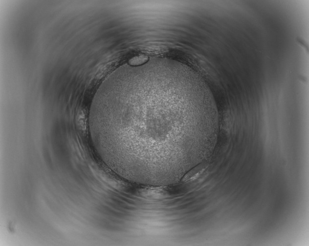 X0000101160086200807071208