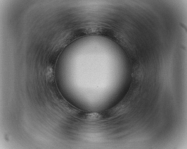 X0000101160087200807071208