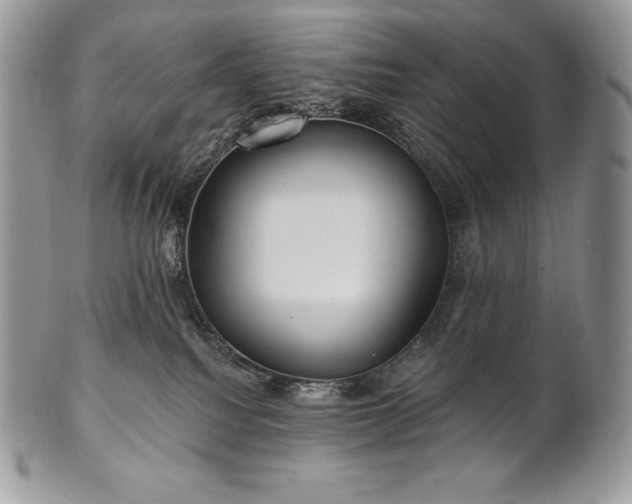 X0000101160088200807071208