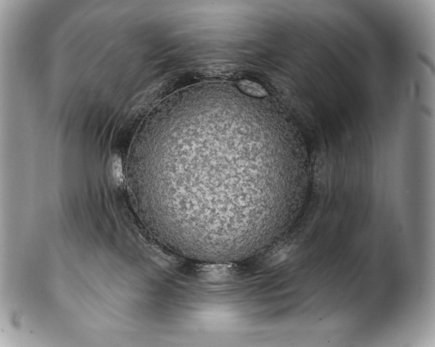 X0000101160089200807071208