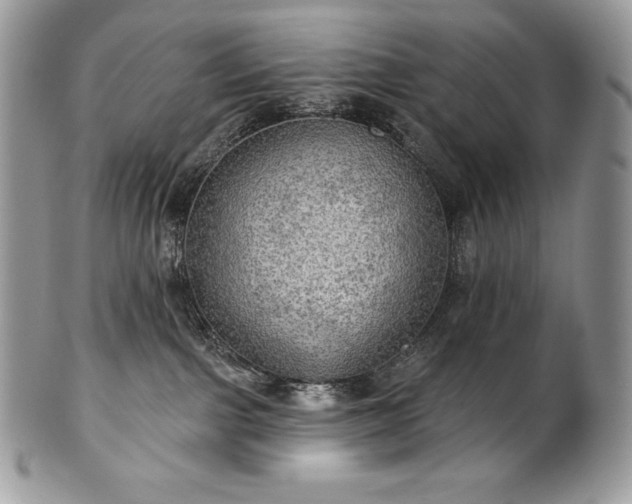 X0000101160091200807071209