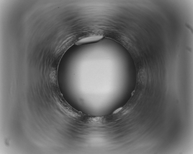 X0000101160092200807071209