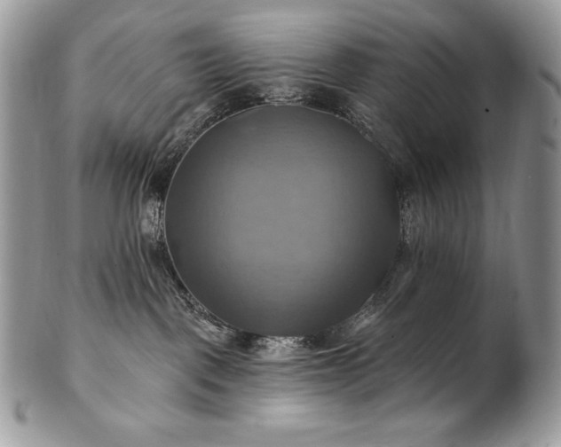 X0000101160093200807071209