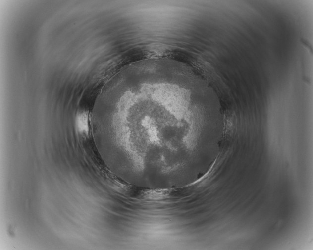 X0000101160094200807071209