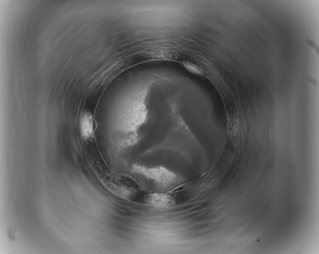 X0000101160095200807071209