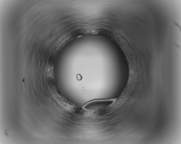 X0000101160096200807071209