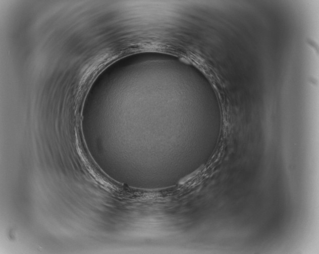 X0000101160097200807071208