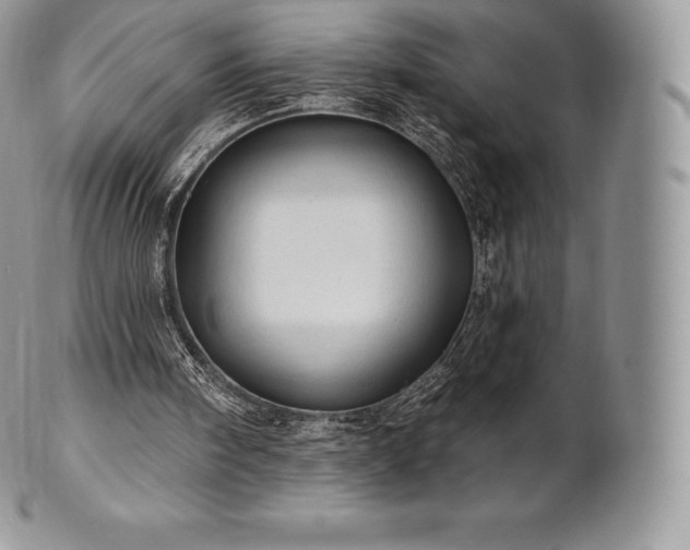 X0000101160098200807071208