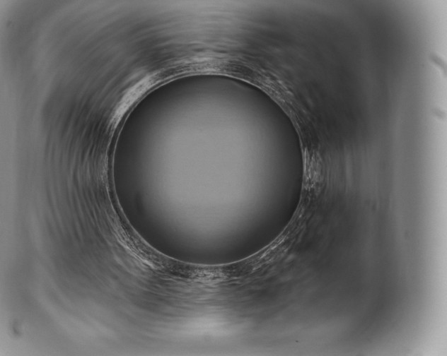 X0000101160099200807071208