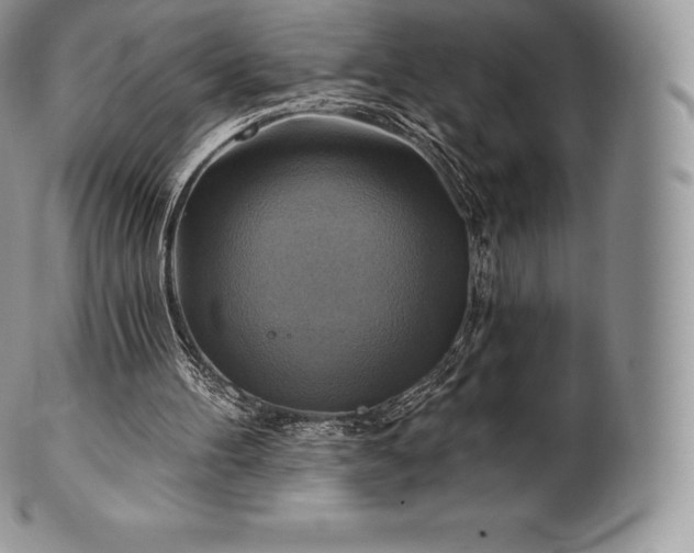 X0000101160100200807071208