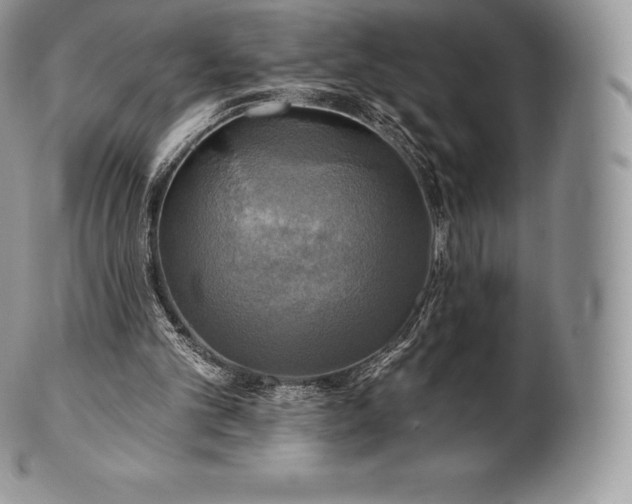 X0000101160101200807071208