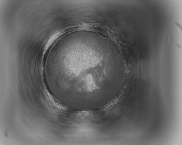 X0000101160102200807071208