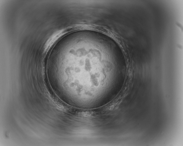 X0000101160103200807071208