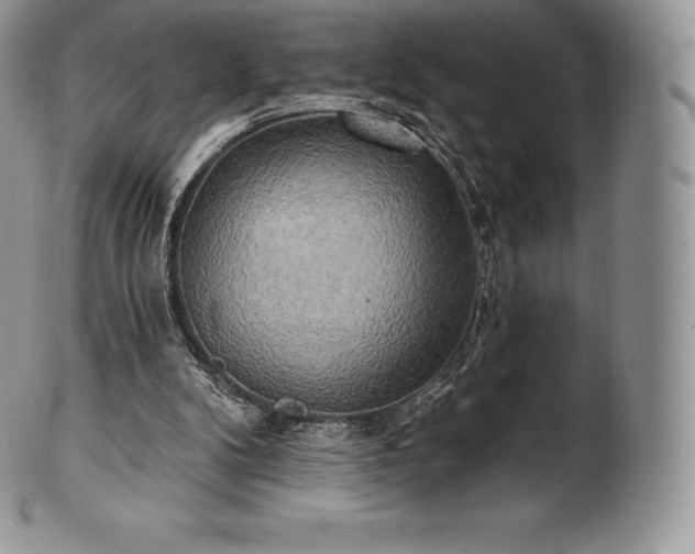 X0000101160104200807071208