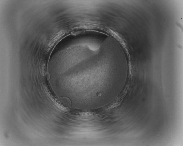 X0000101160105200807071208