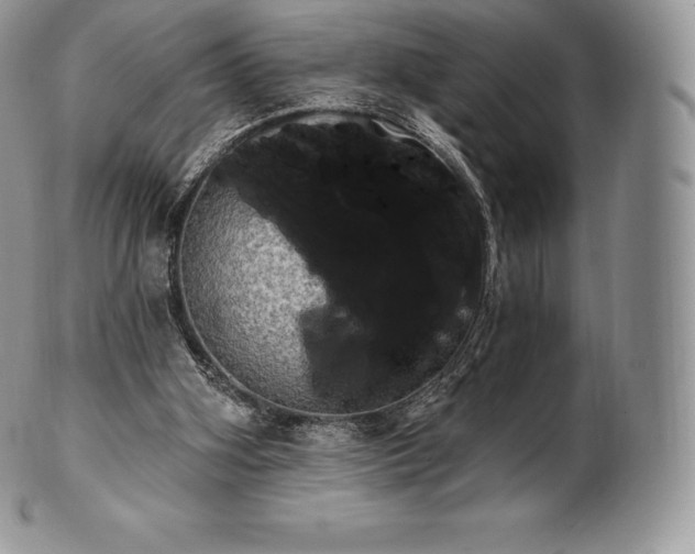 X0000101160106200807071208