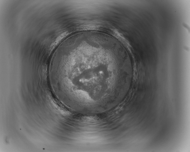 X0000101160107200807071208