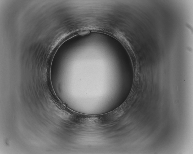 X0000101160108200807071208