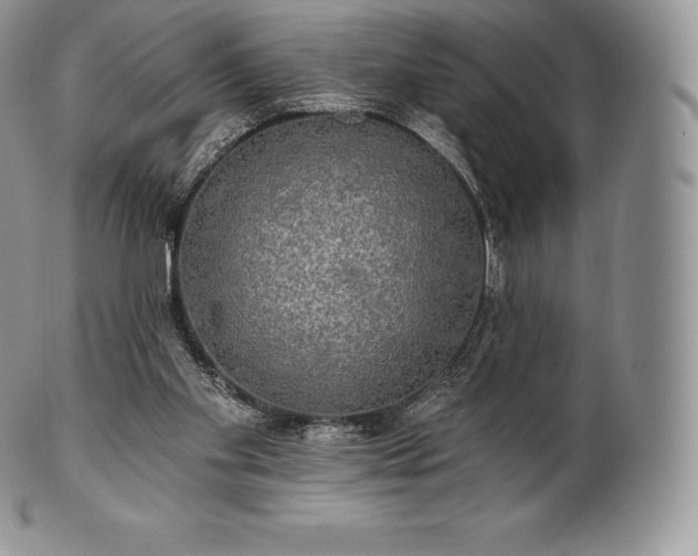 X0000101160109200807071208