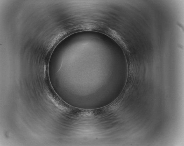 X0000101160110200807071208