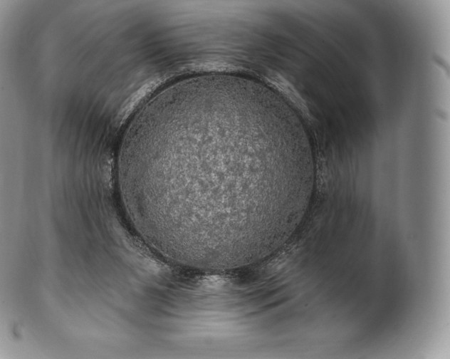 X0000101160111200807071208