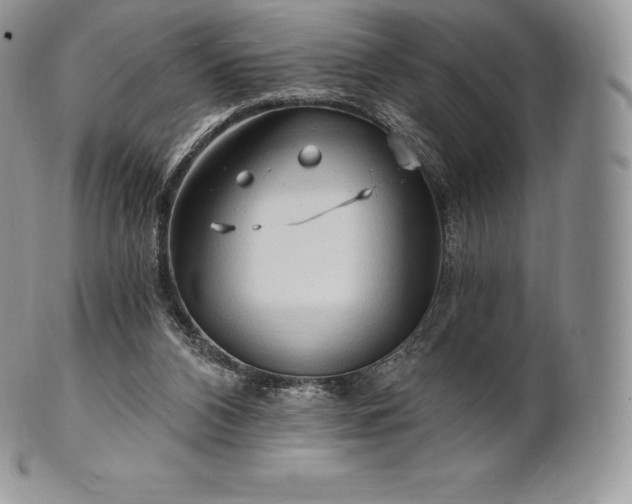 X0000101160112200807071208