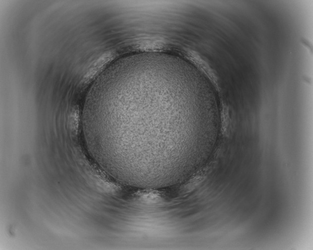 X0000101160113200807071208