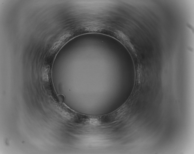 X0000101160114200807071207