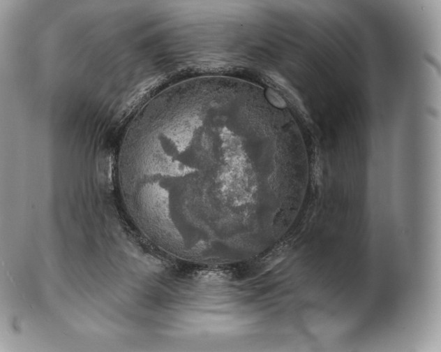 X0000101160115200807071207