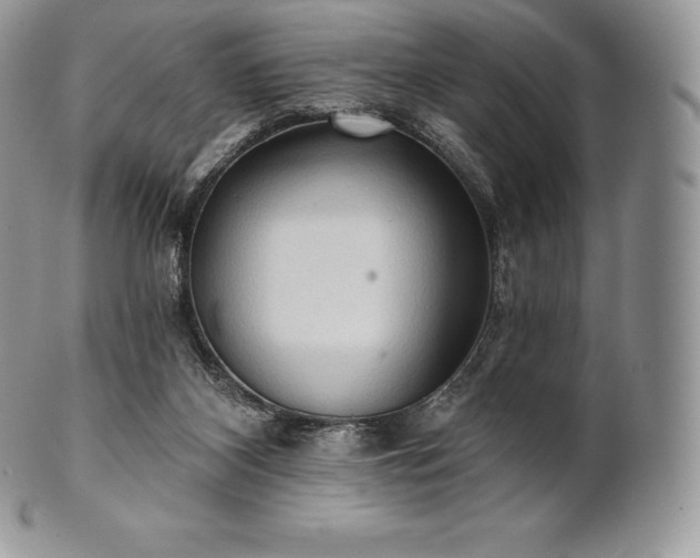 X0000101160116200807071207