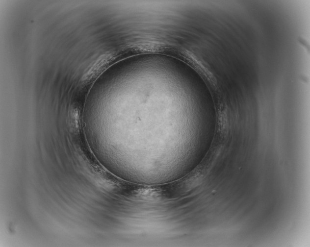 X0000101160117200807071207