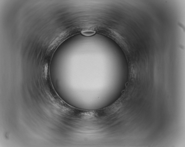 X0000101160118200807071207