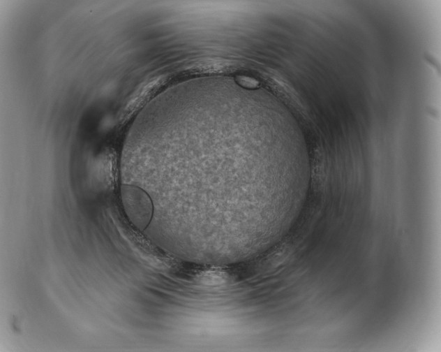 X0000101160119200807071207