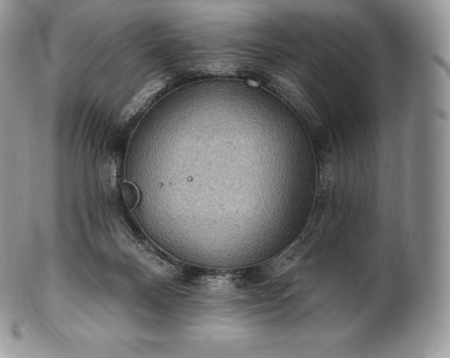 X0000101160120200807071207