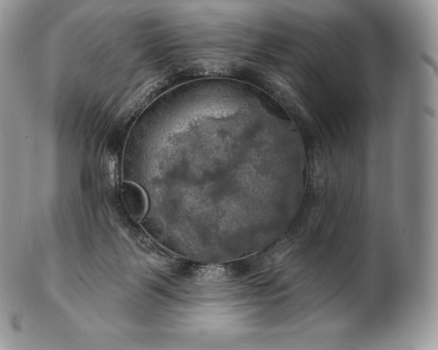 X0000101160123200807071207